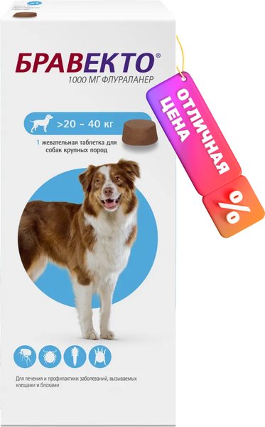 Product image Comprimido antipulgas Bravecto para perros de 20 a 40 kg